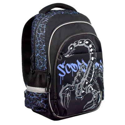 Рюкзак школьный Скорпион Феникс ФЕ-64152 1